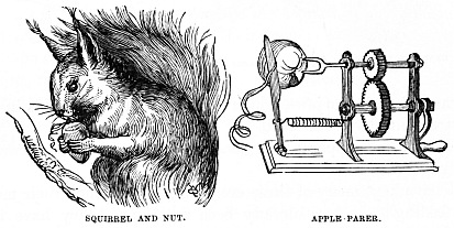 Image unavailable: SQUIRREL AND NUT.
APPLE PARER.