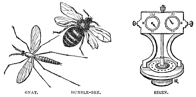 Image unavailable: GNAT.
HUMBLE-BEE.
SIREN.