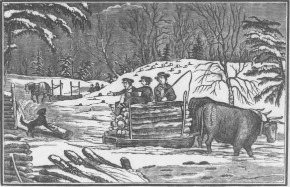 He was looking very intently at the party coming up,
to see whether his master was among them.