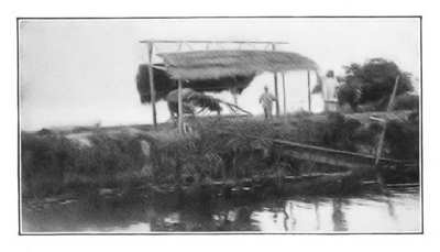 IRRIGATING A RICE-FIELD