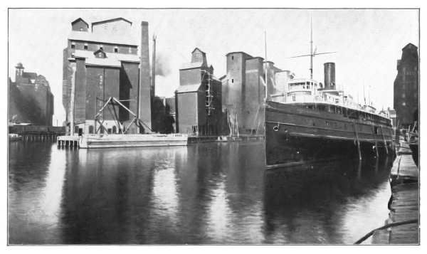 THE WHEAT INDUSTRY—GRAIN ELEVATORS AT BUFFALO, NEW
YORK