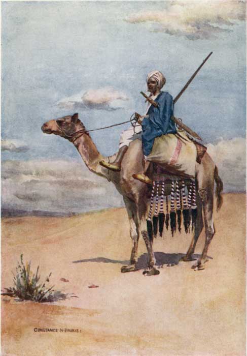 PLATE 12.

A DESERT POSTMAN.