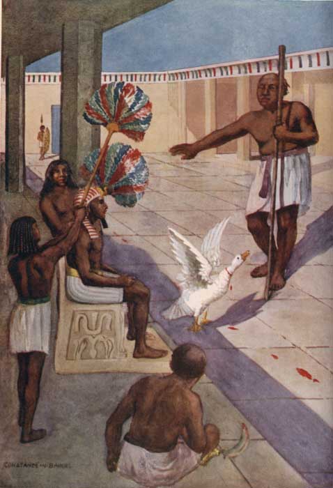 PLATE 8.

"AND THE GOOSE STOOD UP AND CACKLED."