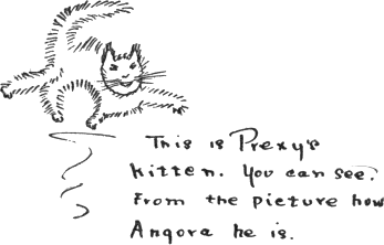 This is Prexy’s
kitten. You can see
from the picture how
Angora he is.