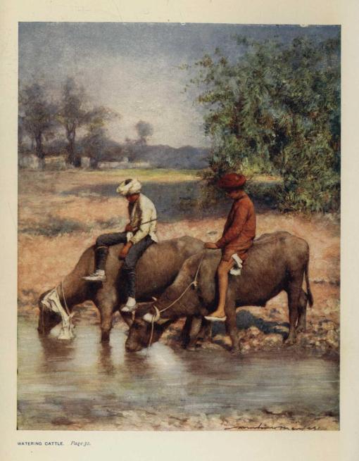 WATERING CATTLE. *Page 32*.