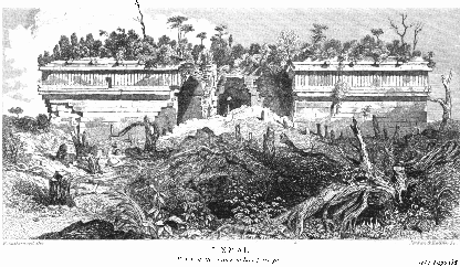 House of the Turtles