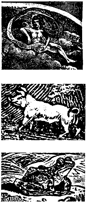 I. Things Celestial and Terrestrial, as apparent
to the English Mind.