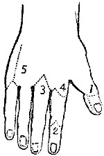 Fig. I. Fig. I.