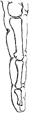 Fig. II. Fig. II.