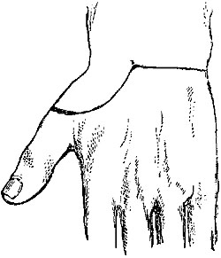 Fig. IV. Fig. IV.