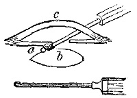 Fig. xiv. Fig. xiv.