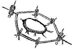 Fig. xxxiii. Fig. xxxiii.