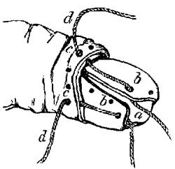 Fig. xxxvii. Fig. xxxvii.