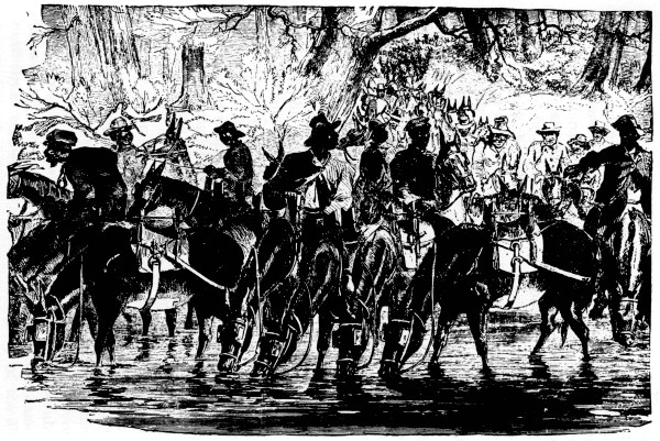 SCENE IN THE ARMY OF THE POTOMAC.

Negro baggage train drivers watering their mules.