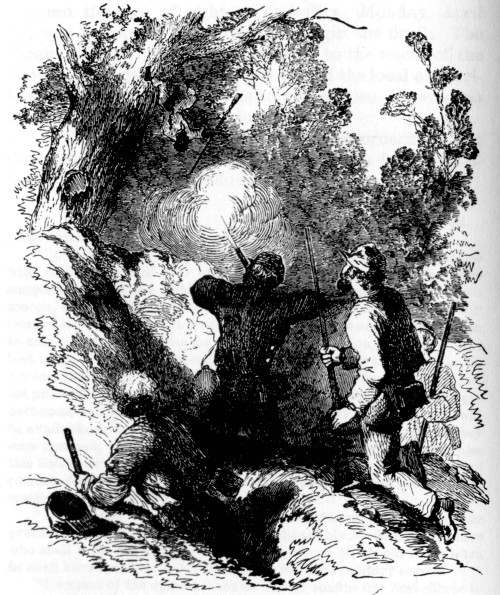 UNION SOLDIERS BEFORE YORKTOWN BRINGING DOWN A SOUTHERN
ALLY.