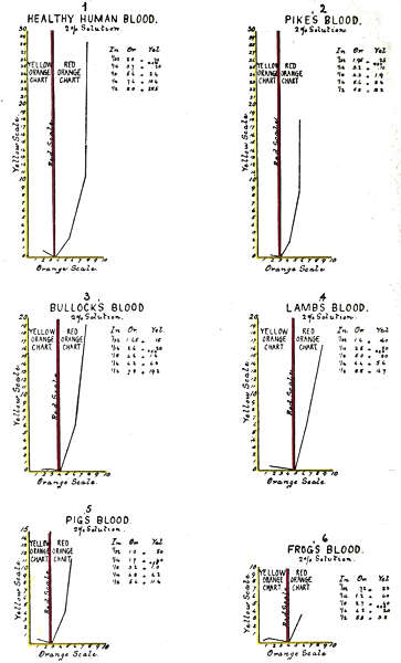 1 Healthy Human Blood. 2 Pike's Blood.
3 Bullock's Blood. 4 Lamb's Blood. 5 Pig's Blood. 6 Frog's Blood.