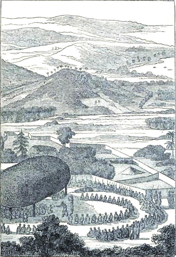 FÃªte in honour of D'Entrecasteaux at the Friendly Islands