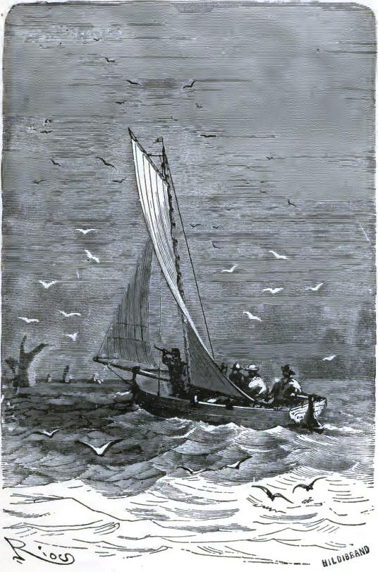 Aquatic birds of all sorts were there