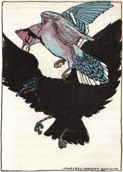 Policeman Blue Jay punishes
Jim