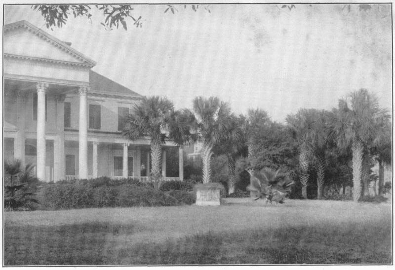 III. Open center treatment
in a semi-tropical country.