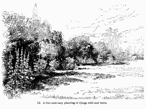 [Illustration: Fig. 12. A free-and-easy
planting of things wild and tame.]