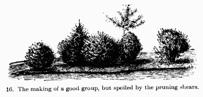 [Illustration: 16. The making of a good
group, but spoiled by the pruning shears.]