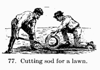 [Illustration: Fig. 77. Cutting sod for a
lawn.]