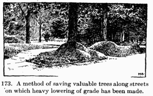 [Illustration: Fig. 173. A method of saving
valuable trees along streets on which heavy lowering of grade has been made.]