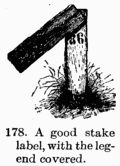 [Illustration: Fig. 178. A good stake label,
with the legend covered.]