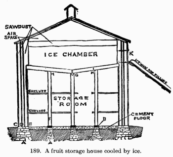 [Illustration: Fig. 189. A fruit storage
house cooled by ice.]