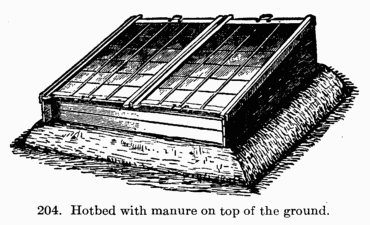 [Illustration: Fig. 204. Hotbed with manure
on top of the ground.]
