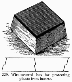 [Illustration: Fig. 229. Wire-covered box for
protecting plants from insects.]