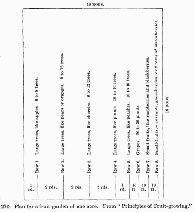 [Illustration: Fig. 270. Plan for a
fruit-garden of one acre. From “Principles of Fruit-growing.”]
