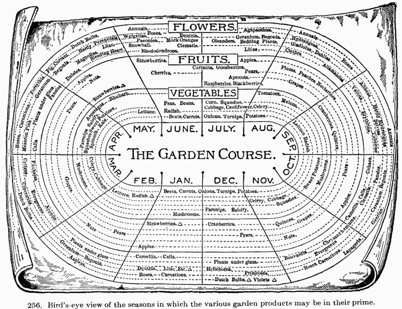 [Illustration: Fig. 318. Bird’s-eye view of the seasons in which the
various garden products may be in their prime.]