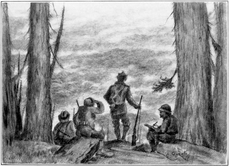 four men look down to hills and a forest