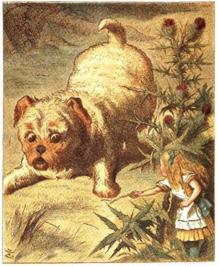 a puppy and Alice when she was just small