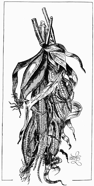 A Panel of
Field-Corn