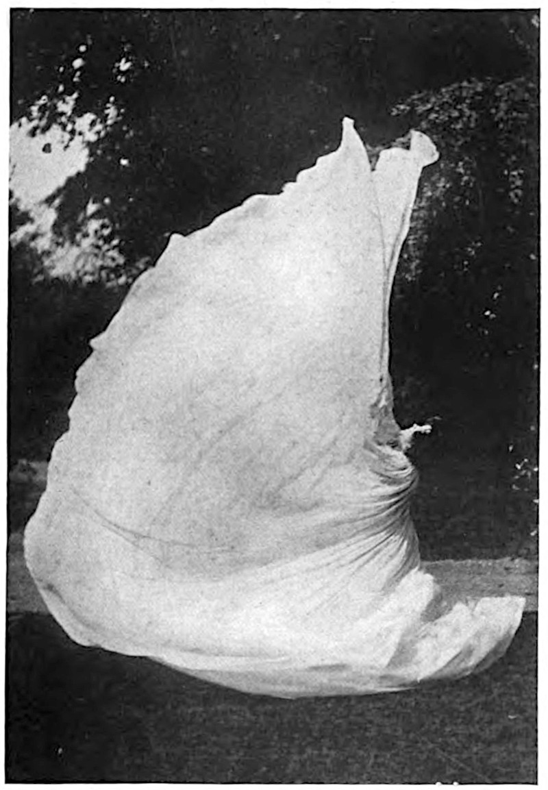 THE DANCE
OF THE LILY