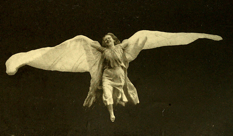 THE DANCE OF THE
BUTTERFLY