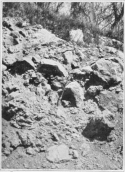 EXPOSURE OF BRECCIATED LIMESTONE IN MILWAUKEE CUT AT
LINN JUNCTION