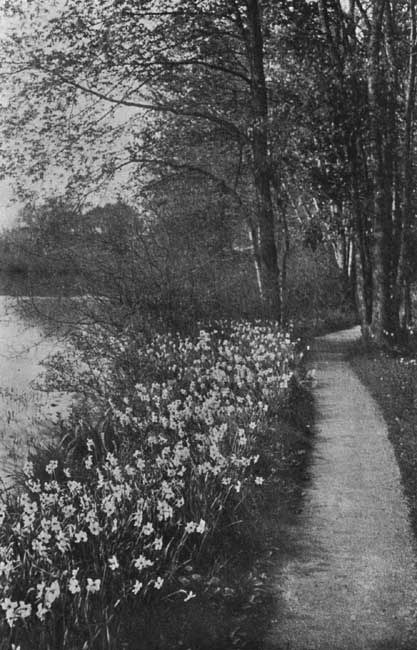 The Poet's Narcissus.