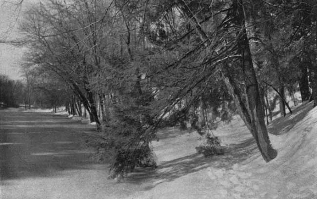 The low, snow-covered
meadow that looks like a crystal lake.