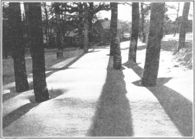 
HANSSONBORG, WHERE ERIK LIVES