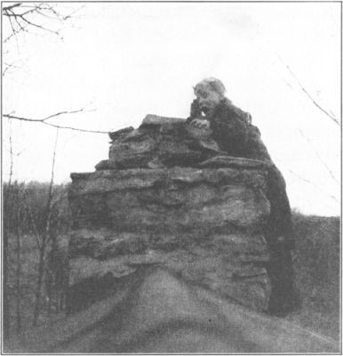 
"HOYOTOHO!" SHRIEKED ERIK