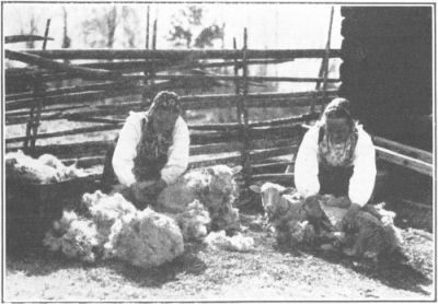 
DALECARLIA PEASANTS SHEARING SHEEP