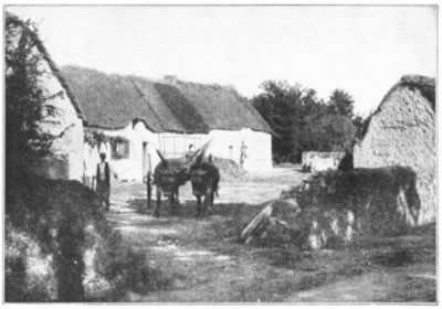 A GROUP OF TYPICAL THATCH ROOFED HOUSES IN A LITTLE
FRENCH VILLAGE