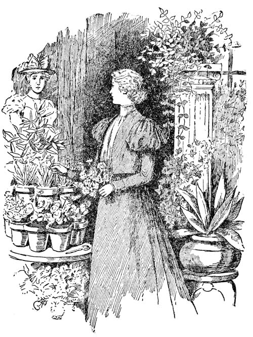 Polly’s gone to town