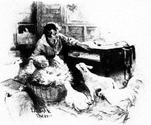 I put his babykins in a big feed-basket and the lamb twins
came and welcomed him