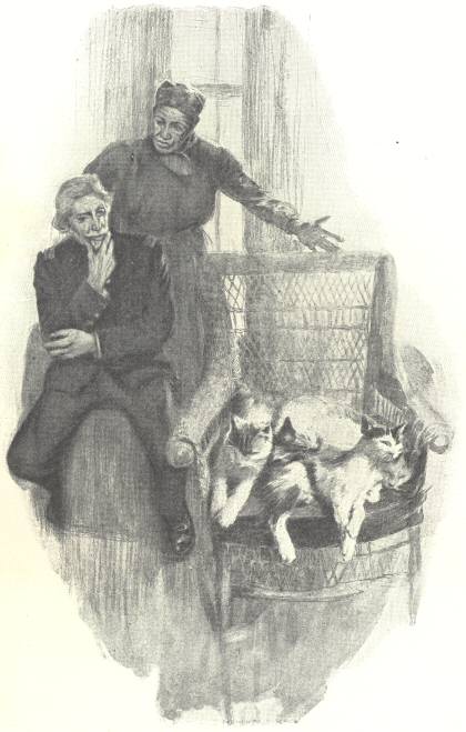 “‘Look at that pile of cats in your
chair’”