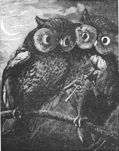 an owl giving a rose to another owl